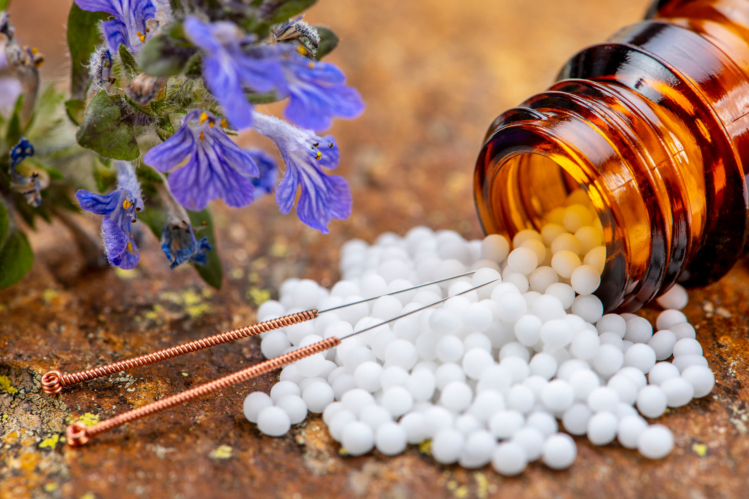 Vor- und Nachteile von pflanzlichen Heilmitteln im Vergleich zu verschreibungspflichtigen Medikamenten