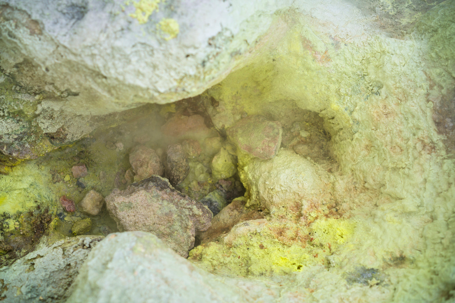 Anorganischer Schwefel - Bedeutung von Schwefel in verschiedenen Stoffwechselprozessen