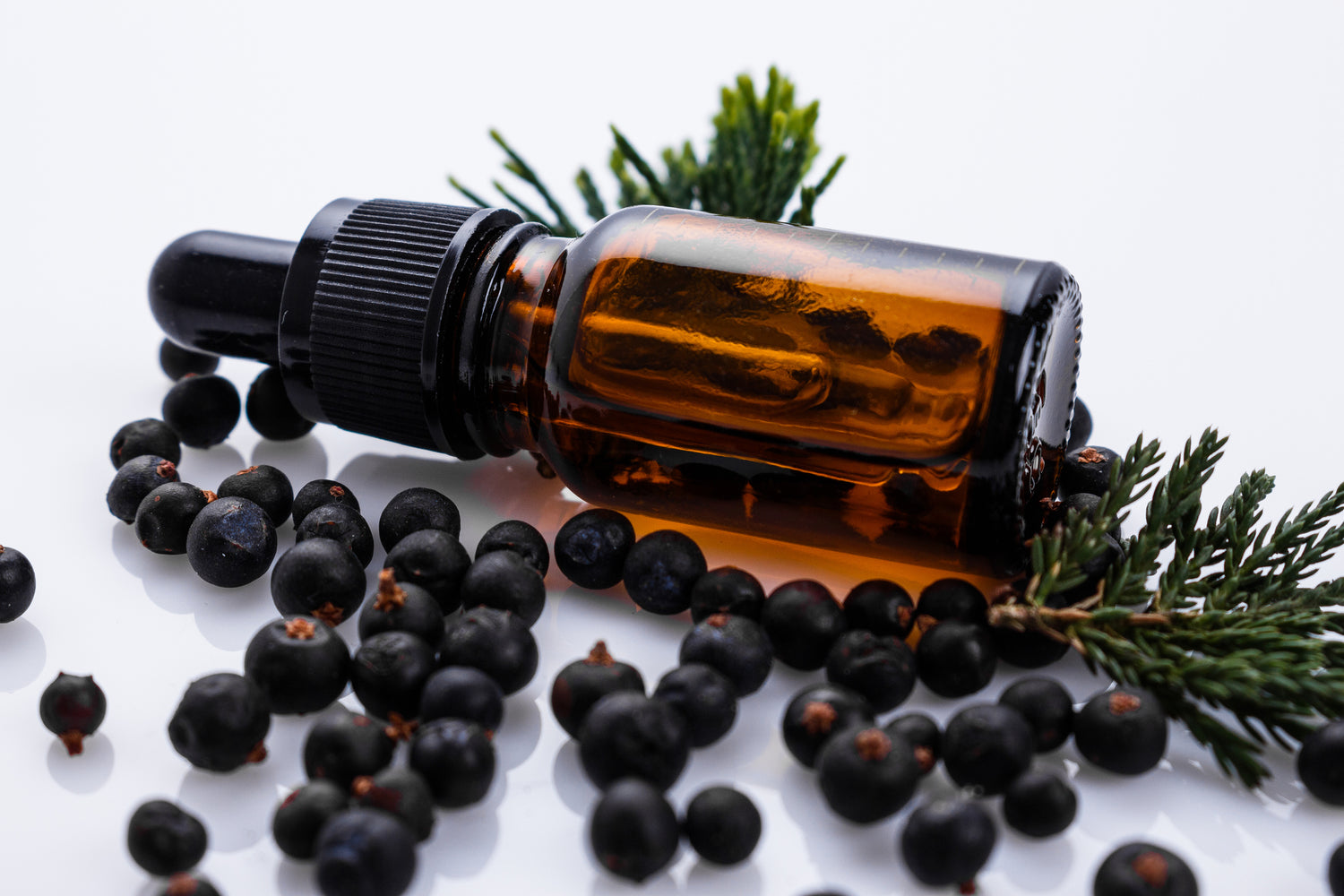 Entdecken Sie die heilende Kraft des Sonnentor Bio-Schwarzkümmelöls