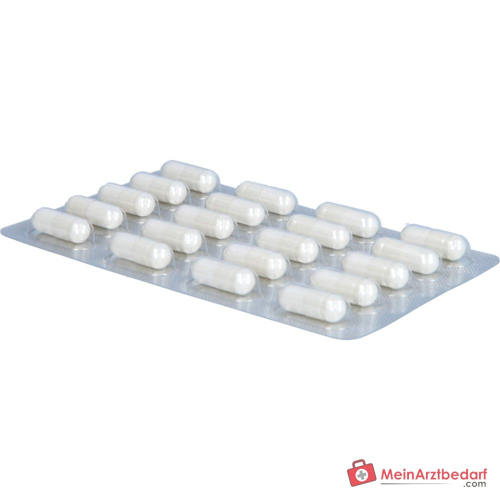 Biolectra Magnesium Magnesiumoxid Kapseln, 100 St..