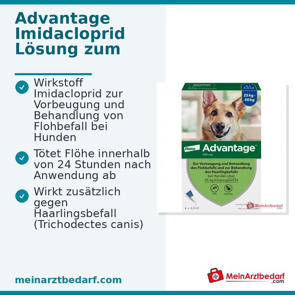 Advantage 400 Hund Imidacloprid 100 mg/ml Lösung zum Auftropfen 4 Pipetten Hunde 25–40 kg