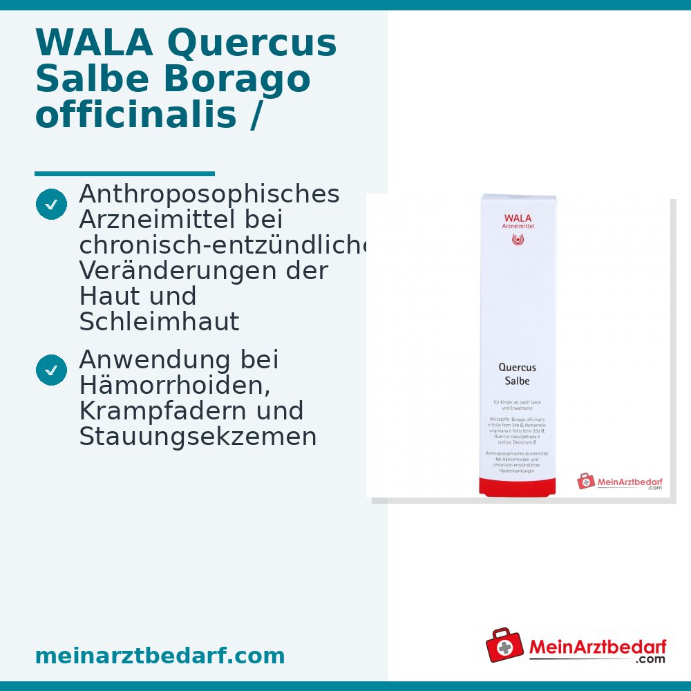 WALA Quercus Maść, 100 g