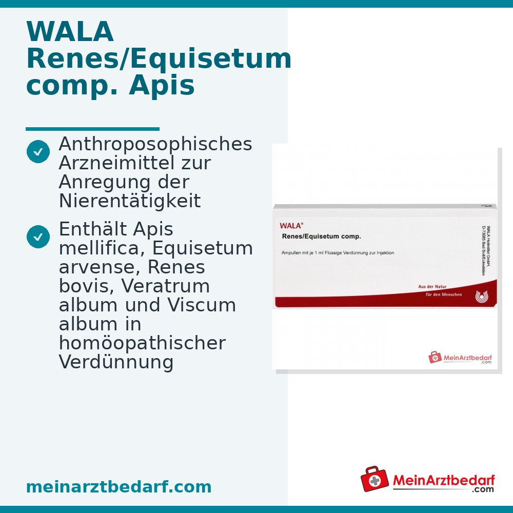 WALA Renes/Equisetum comp. Ampullen, 10 x 1 ml