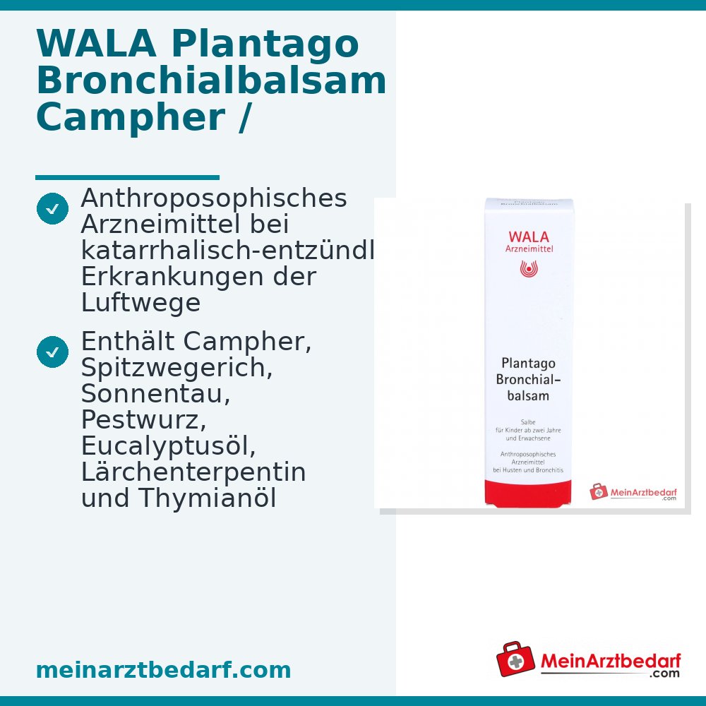 WALA Plantago Bronchialbalsam Salbe, 30 g