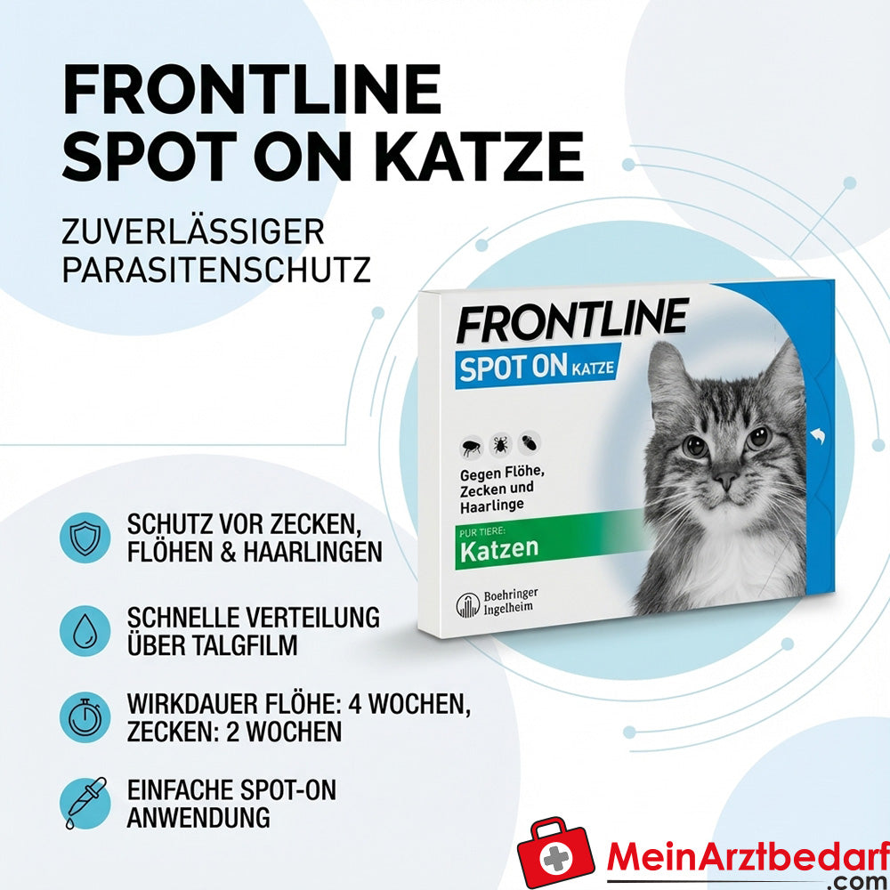 FRONTLINE Spot On für Katzen Fipronil Lösung zum Auftropfen 6 Pipetten