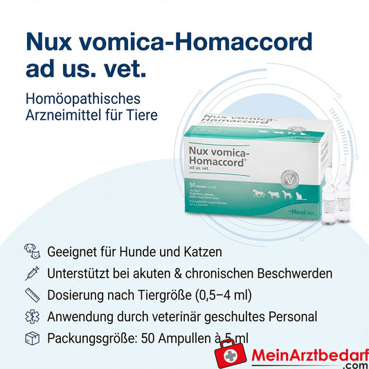 Nux vomica Homaccord ad us. vet. Ampullen 5 ml, 50 Stück