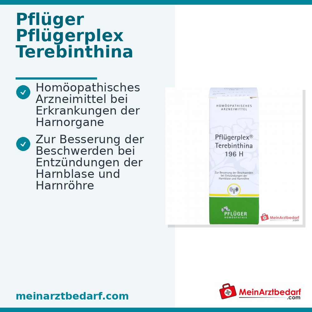 Pflügerplex Terebinthina 196 H homöopathisches Arzneimittel 50 ml