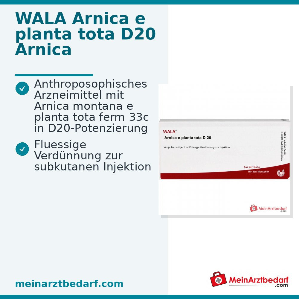 WALA Arnica e planta tota D20 Arnica montana Ampollas, 10 x 1 ml