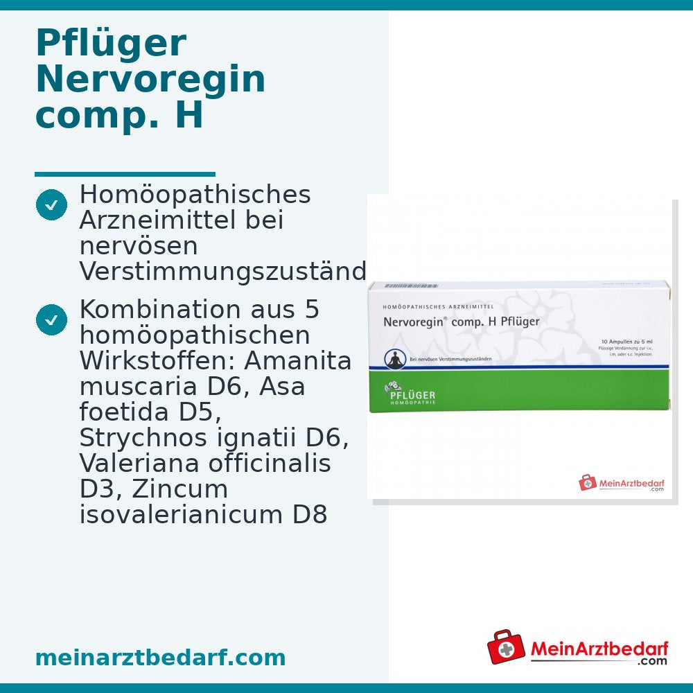 Pflüger Nervoregin comp. H Amanita muscaria / Asa foetida / Strychnos ignatii / Valeriana officinalis / Zincum isovalerianicum Ampoules, 10 unités.