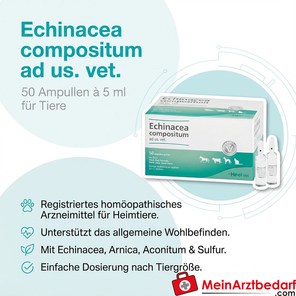 Echinacea compositum ad us. vet. ampullen 5 ml 50 stuks