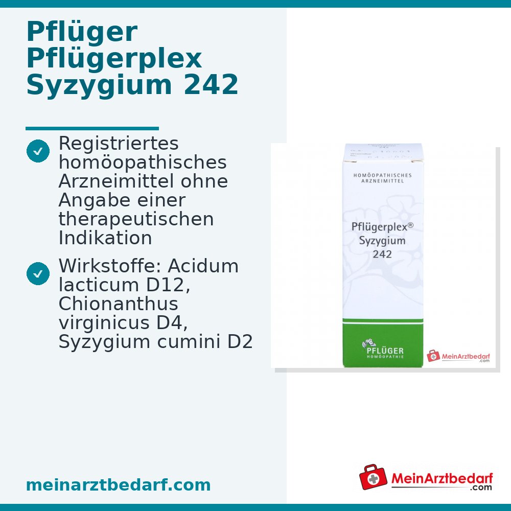 Pflügerplex Syzygium 242 krople (Chionanthus virginicus D4, Syzygium cumini D2, Acidum lacticum D12) 50 ml