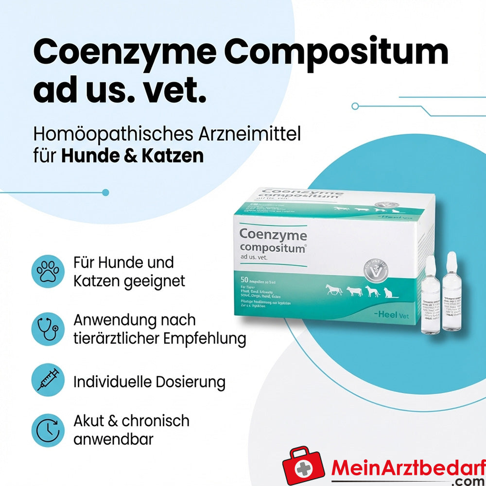Coenzyme Compositum ad us. vet. ampoules 50 x 5 ml médicament homéopathique