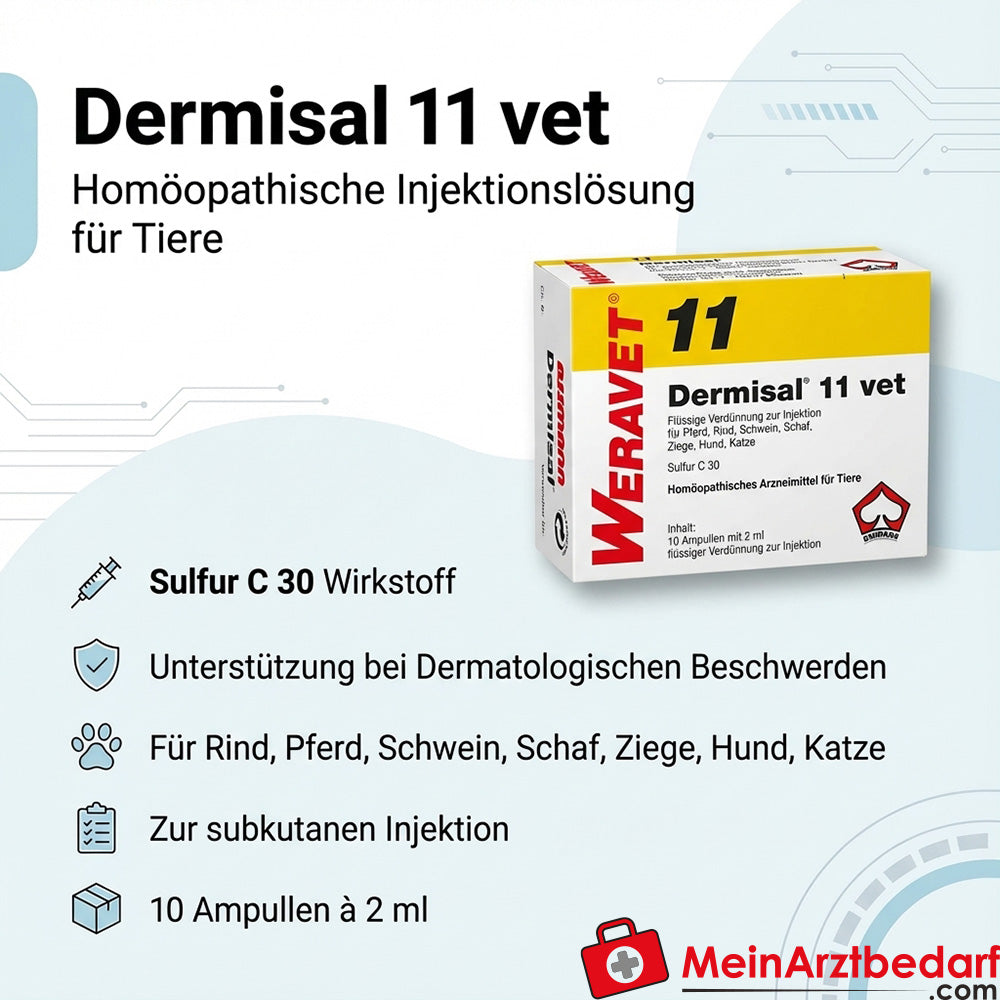 Dermisal 11 vet 10 x 2 ml