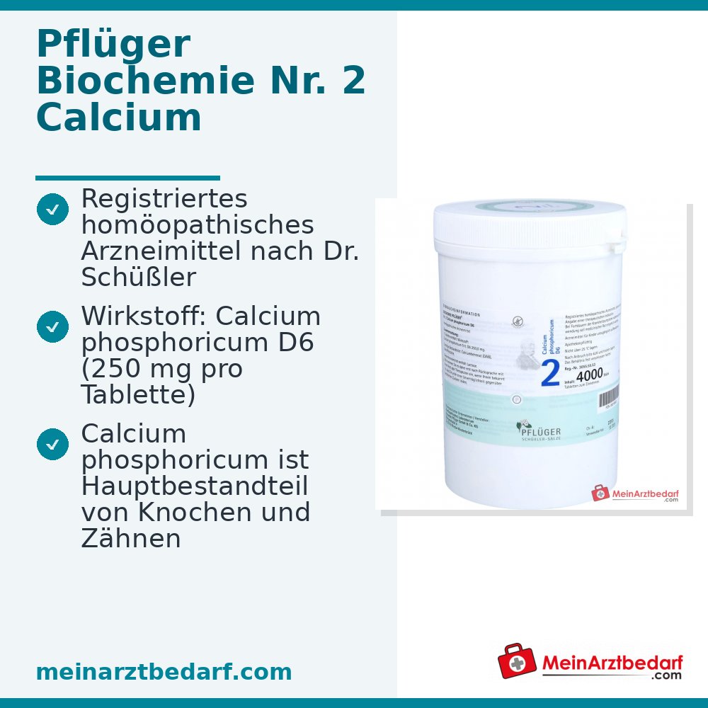Biochemie Pflüger Nr. 2 Calcium phosphoricum D6 Tabletten 250 mg
