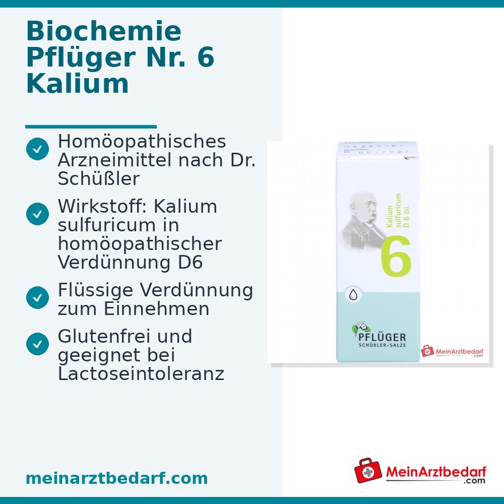 Biochemie Pflüger Nr. 6 Kaliumsulfuricum D6 1000 mg druppels verpakking
