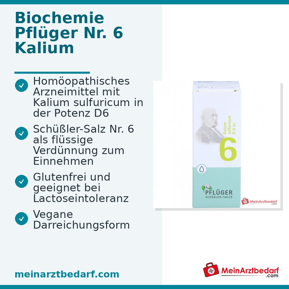 Biochemie Pflüger Nr. 6 Kaliumsulfuricum D6 1000 mg druppels verpakking