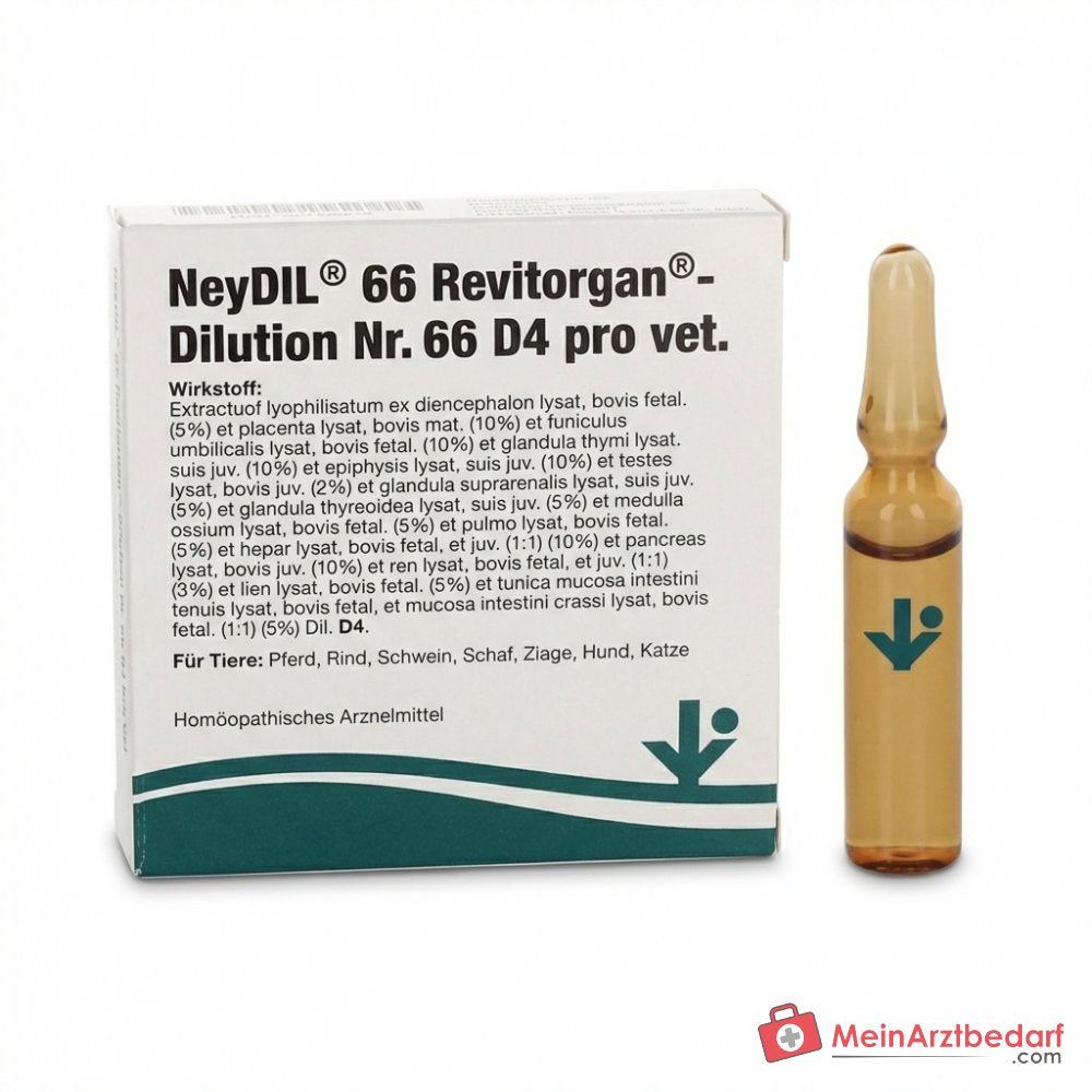 NeyDIL vitOrgan nº 66 D4 pro vet. 1 µg/ml solución inyectable 5 x 2 ml