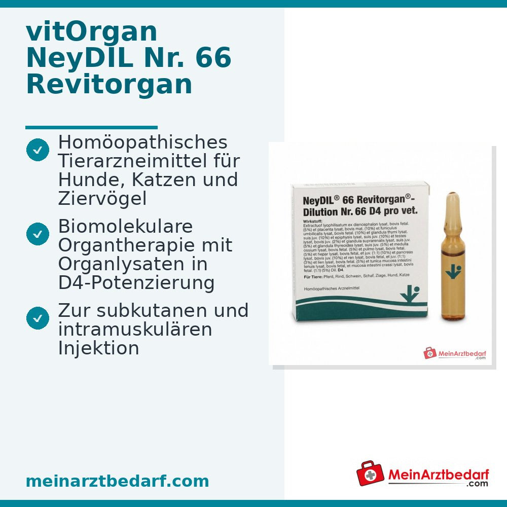 NeyDIL vitOrgan nº 66 D4 pro vet. 1 µg/ml solución inyectable 5 x 2 ml