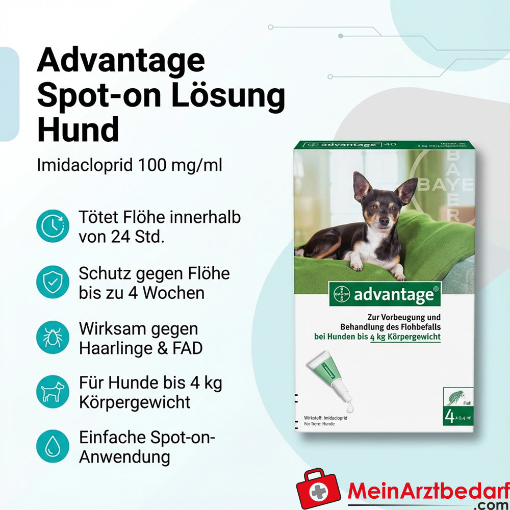Advantage Spot-on Lösung Hund Imidacloprid 100 mg/ml 4 St