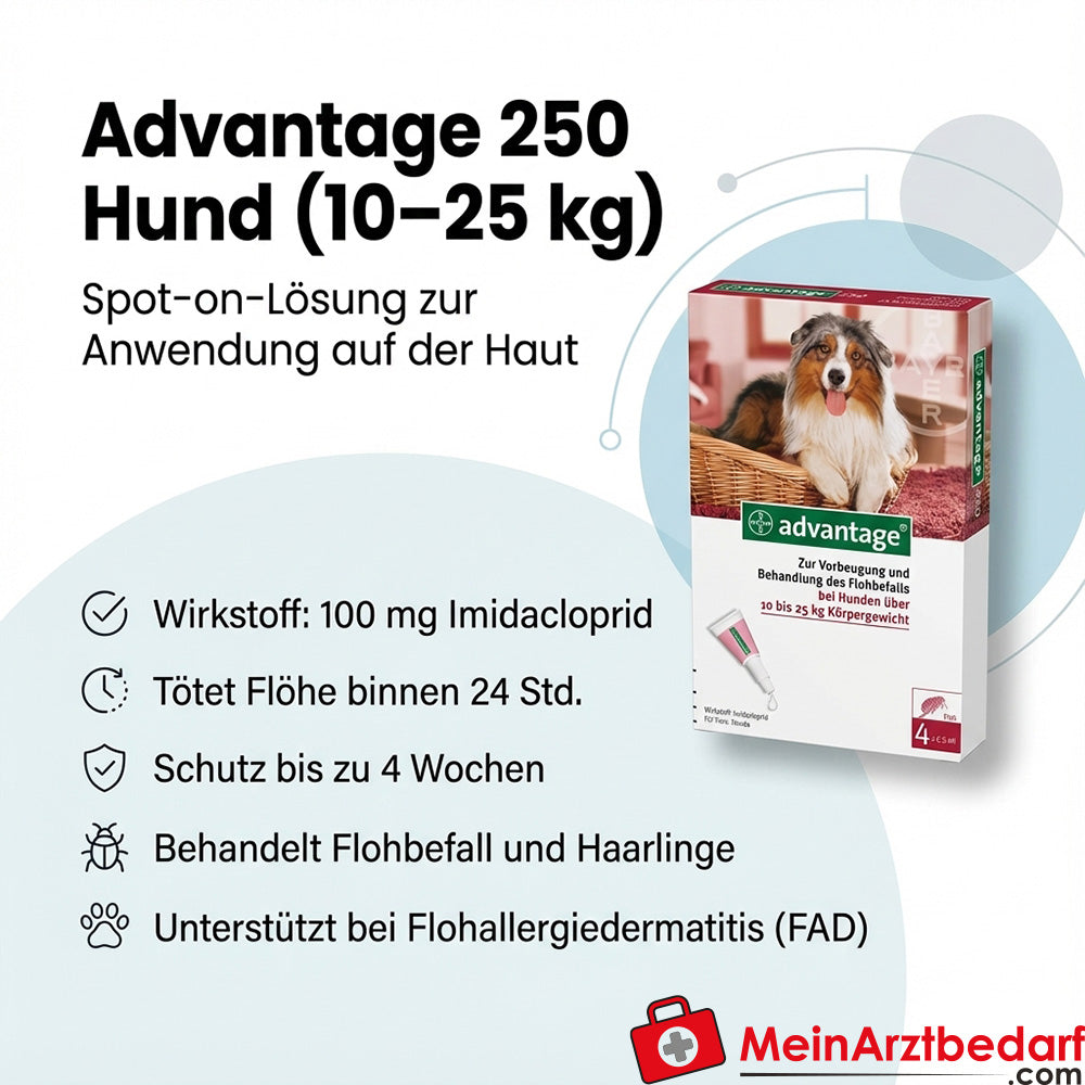 Advantage 250 Elanco perro 100 mg imidacloprid solución spot-on 4 piezas