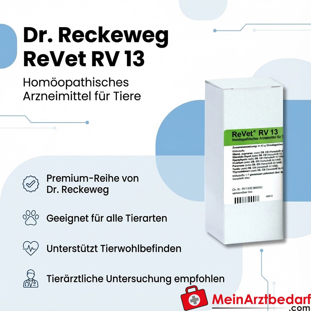 Dr Reckeweg ReVet RV 13 Globuli dierenarts 42 g