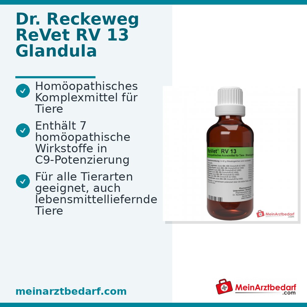 Dr Reckeweg ReVet RV 13 Globuli vet 42 g