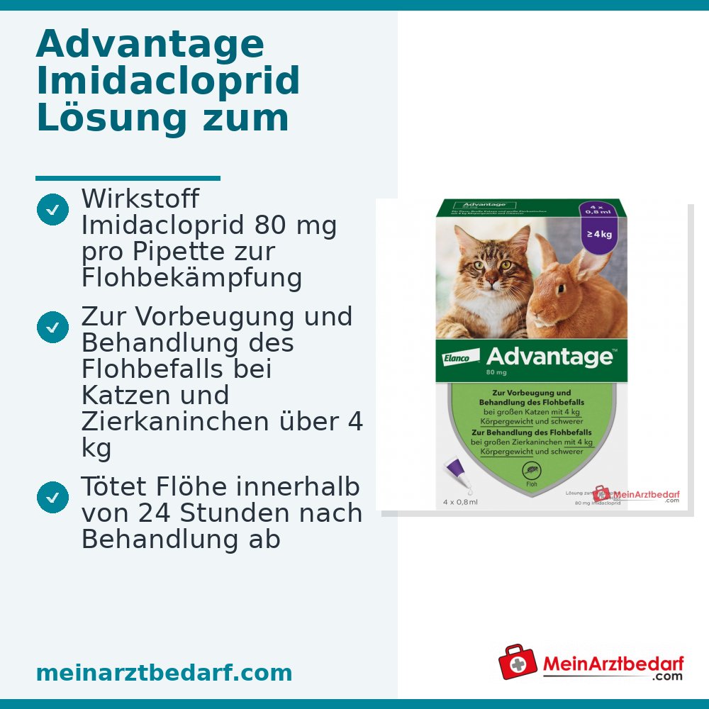 Advantage Imidacloprid 80 mg/ml Spot-on gato 4 x 0,8 ml