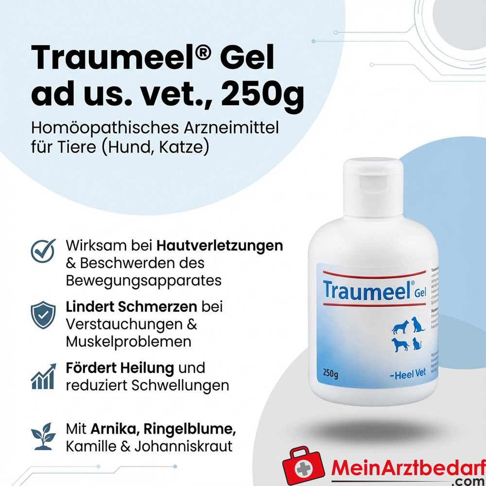 Traumeel Gel ad us. vet. Homöopathisches Arzneimittel 250 g