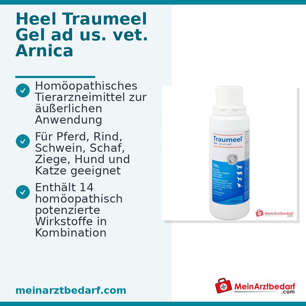 Traumeel Gel ad us. dierenarts. homeopathisch geneesmiddel 250 g
