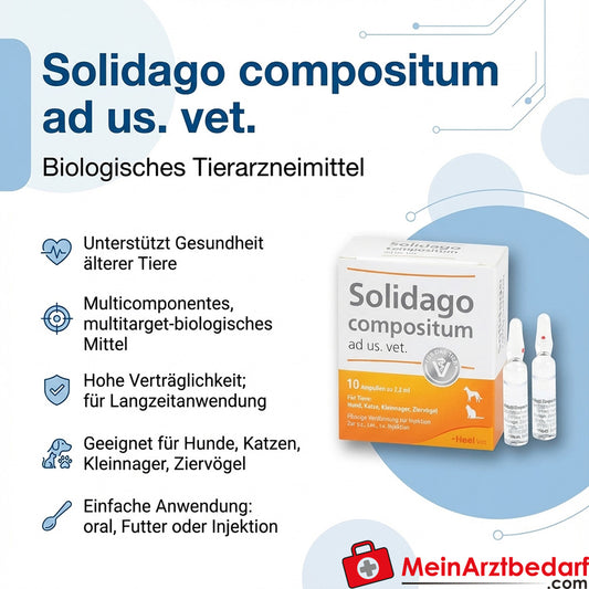 Heel Solidago compositum ad us. vet. ampullen 10 x 1 ml