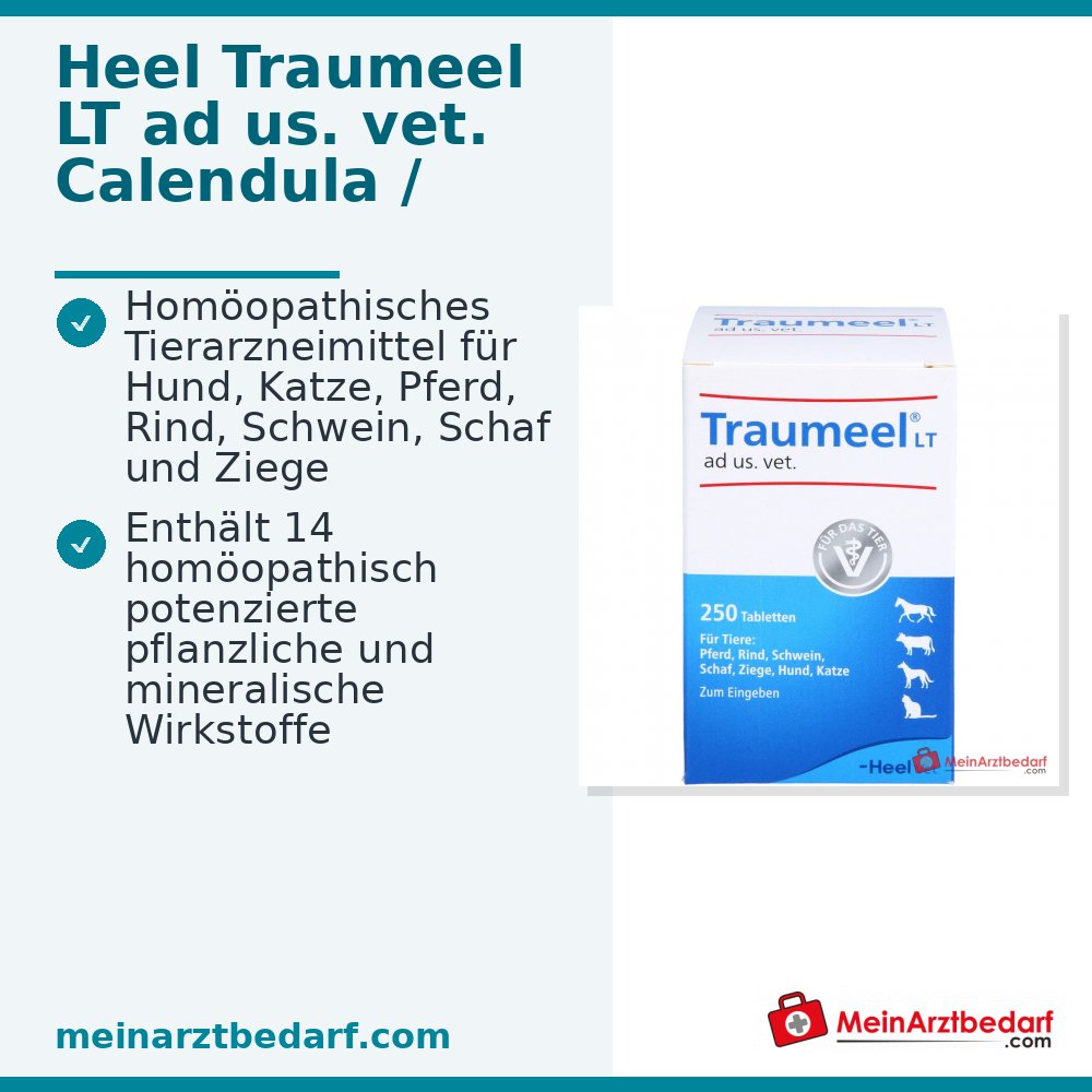 Traumeel LT ad us. vet. Caléndula Árnica Comprimidos 250 unidades para perros y gatos