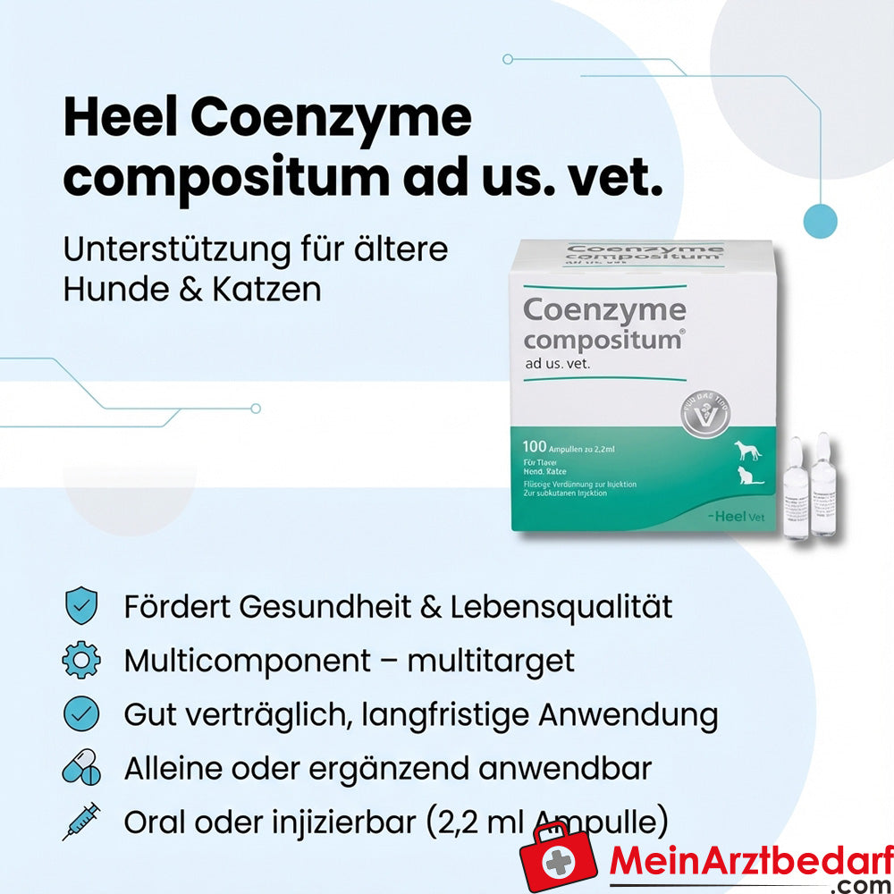 Heel Co-enzym comp. ad us. dierenarts. ampullen 1 ml 100 stuks