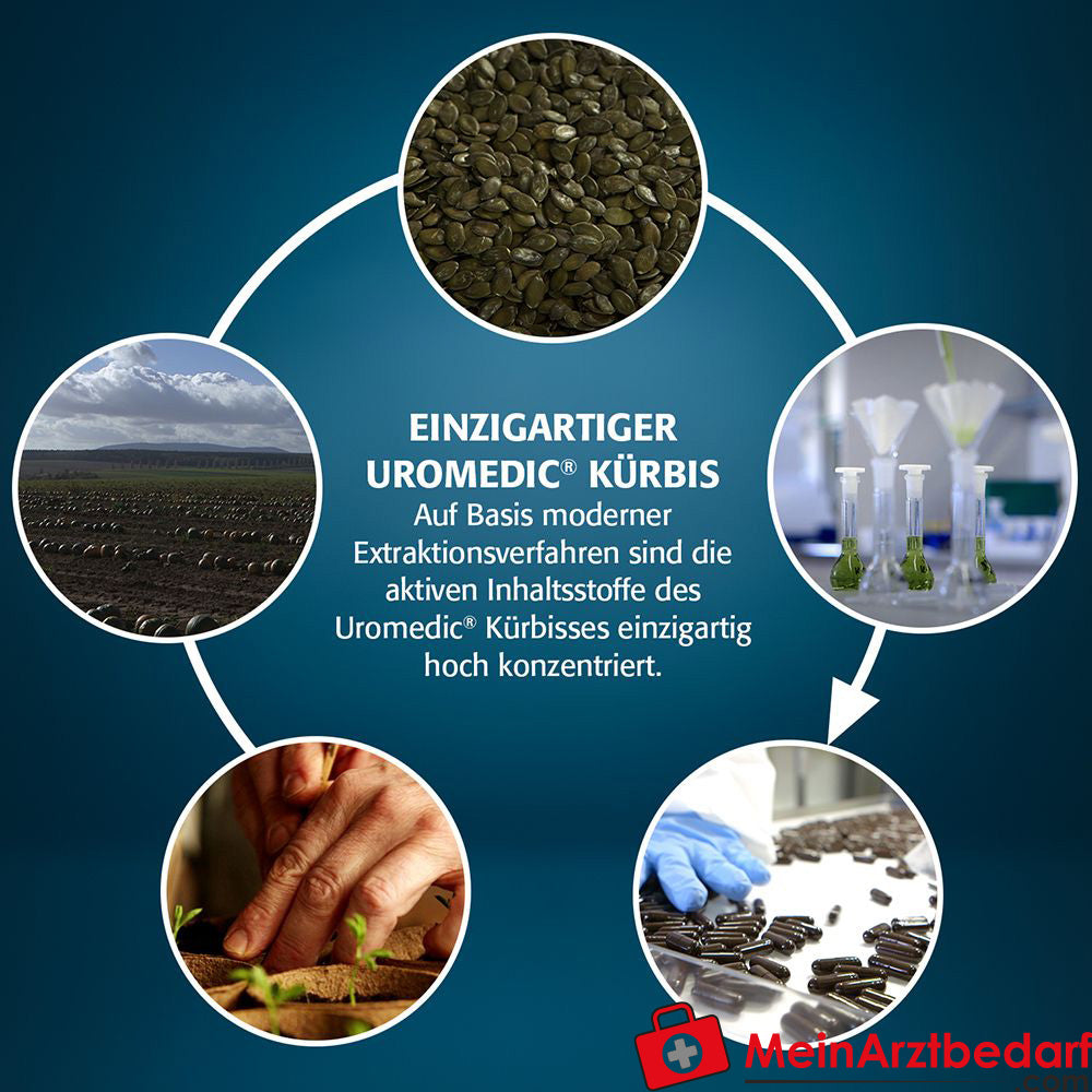 GRANU FINK Prosta forte 500 mg Kapseln