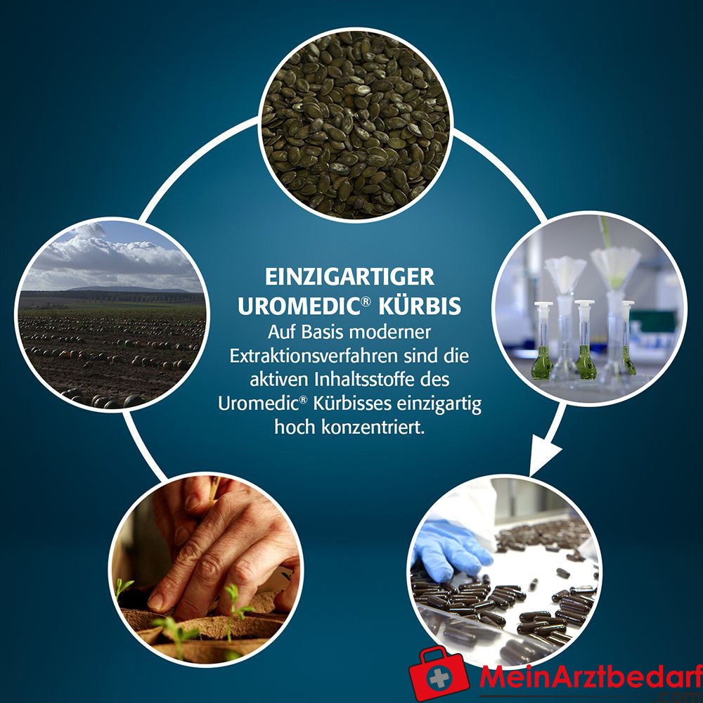 GRANU FINK Prosta forte 500 mg Kapseln