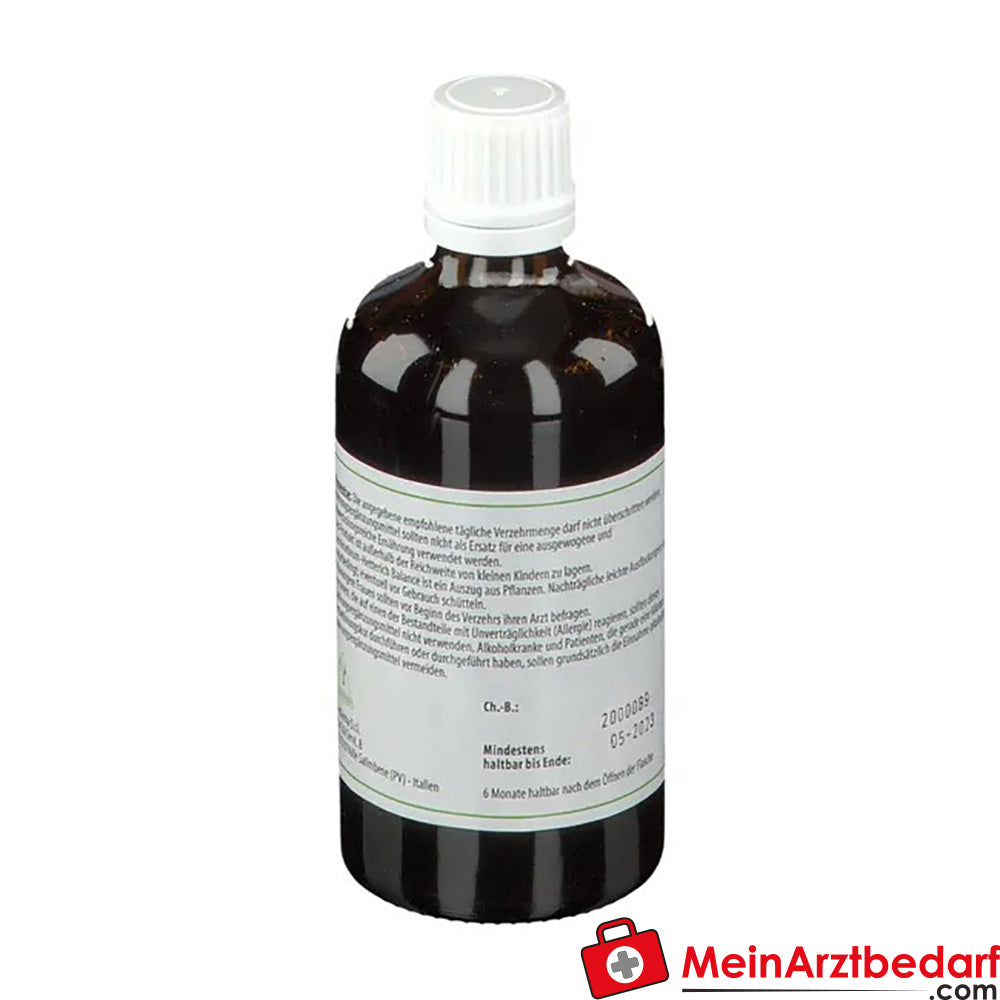 Carminativum-Hetterich® Balance, 100ml.