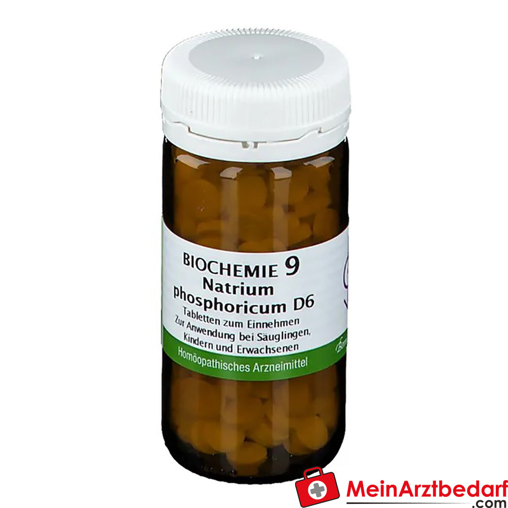 Bombastus Biochemie 9 Natrium phosphoricum D6.