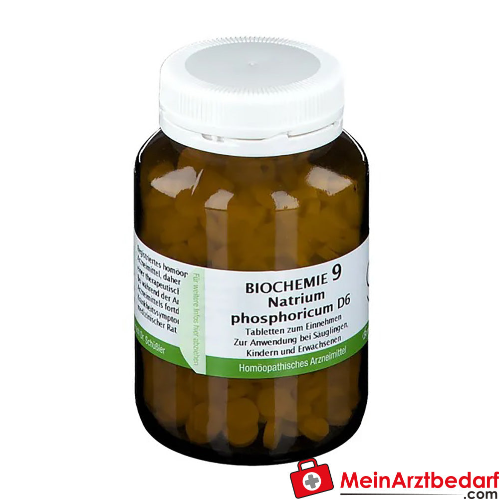Bombastus Biochemie Biochemie 9 Natrium phosphoricum D6 250 mg Tabletten