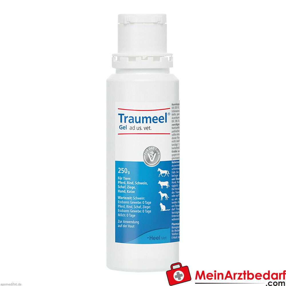 Traumeel Gel ad us vet 1X250 g.