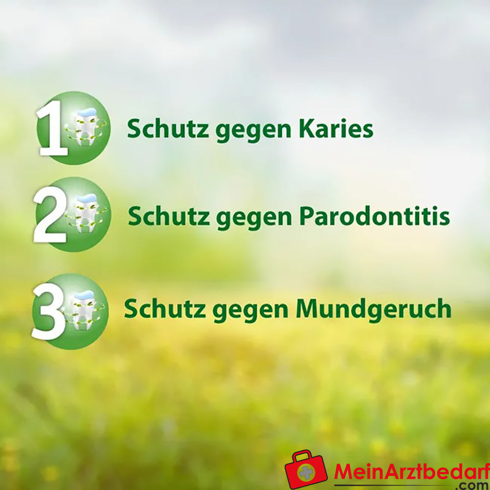 Salviagalen F Madaus|Medizinische Zahnpasta mit Fluorid, 75ml.