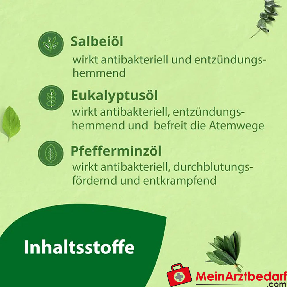 Salviagalen F Madaus|Medizinische Zahnpasta mit Fluorid, 75ml.