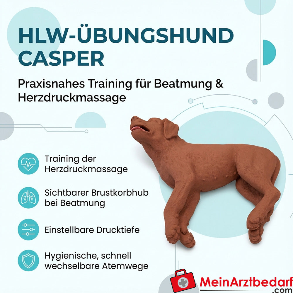 Erler-Zimmer HLW-Übungshund CasPeR mit 100 Wechsel-Atemwegen