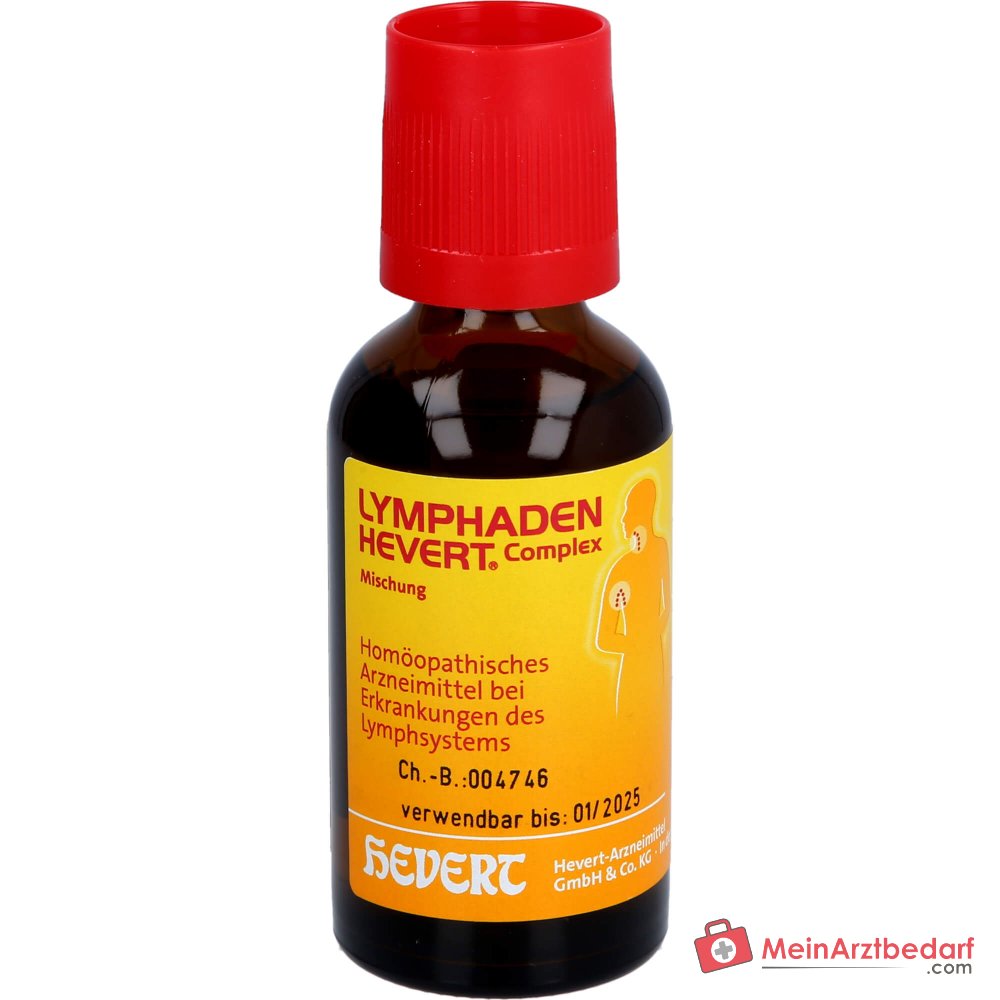 Hevert Lymphaden Complex Tropfen, 50 ml