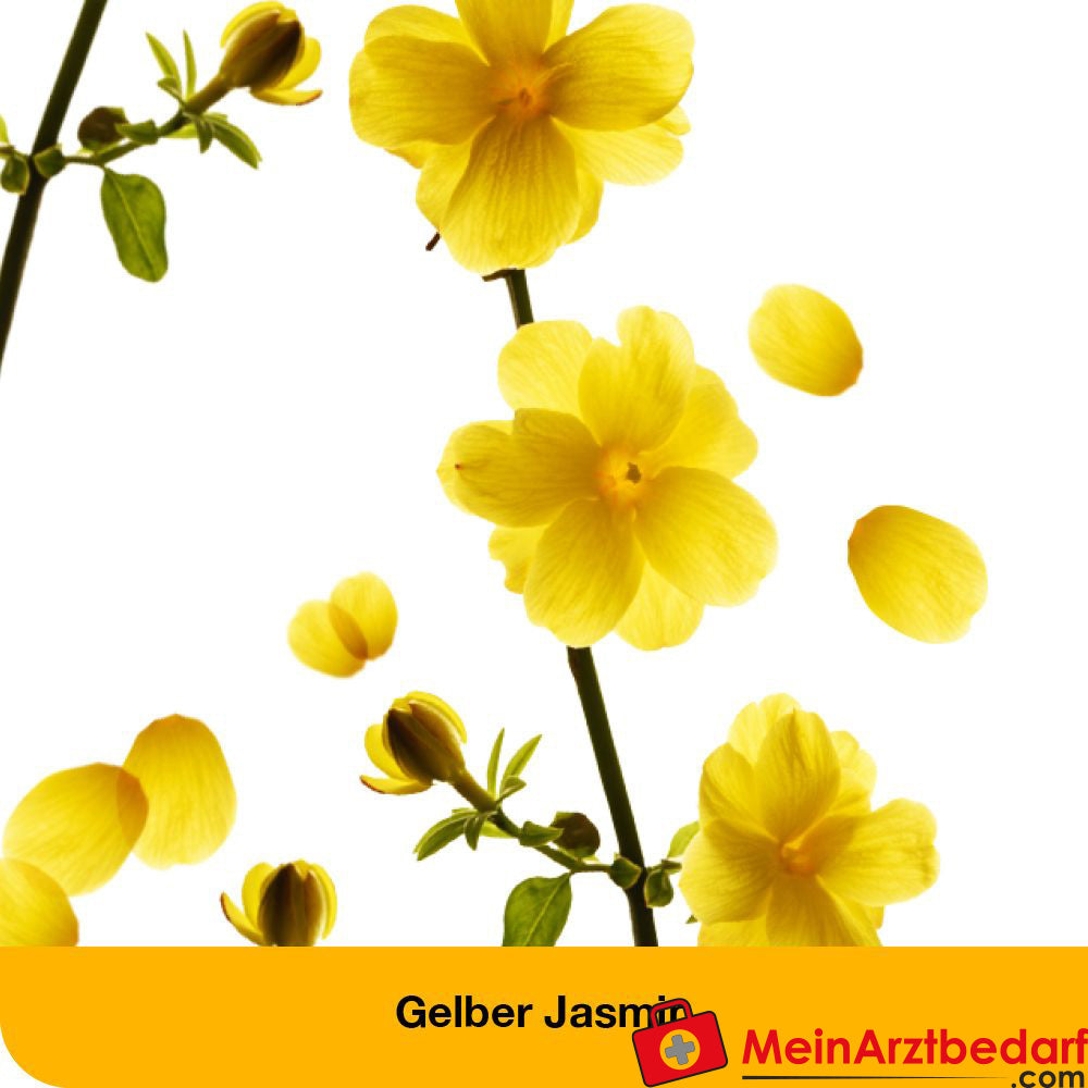 dystoLoges® Tropfen.