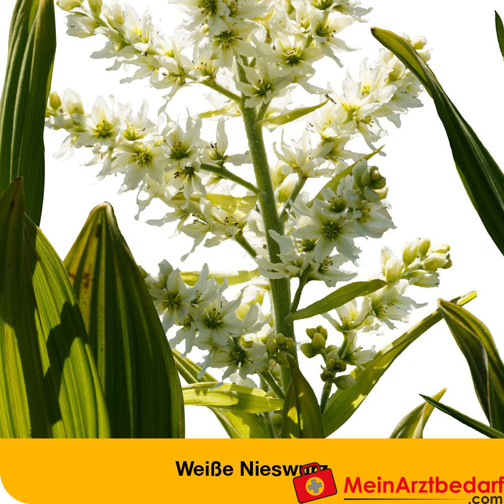 dystoLoges® Tropfen.