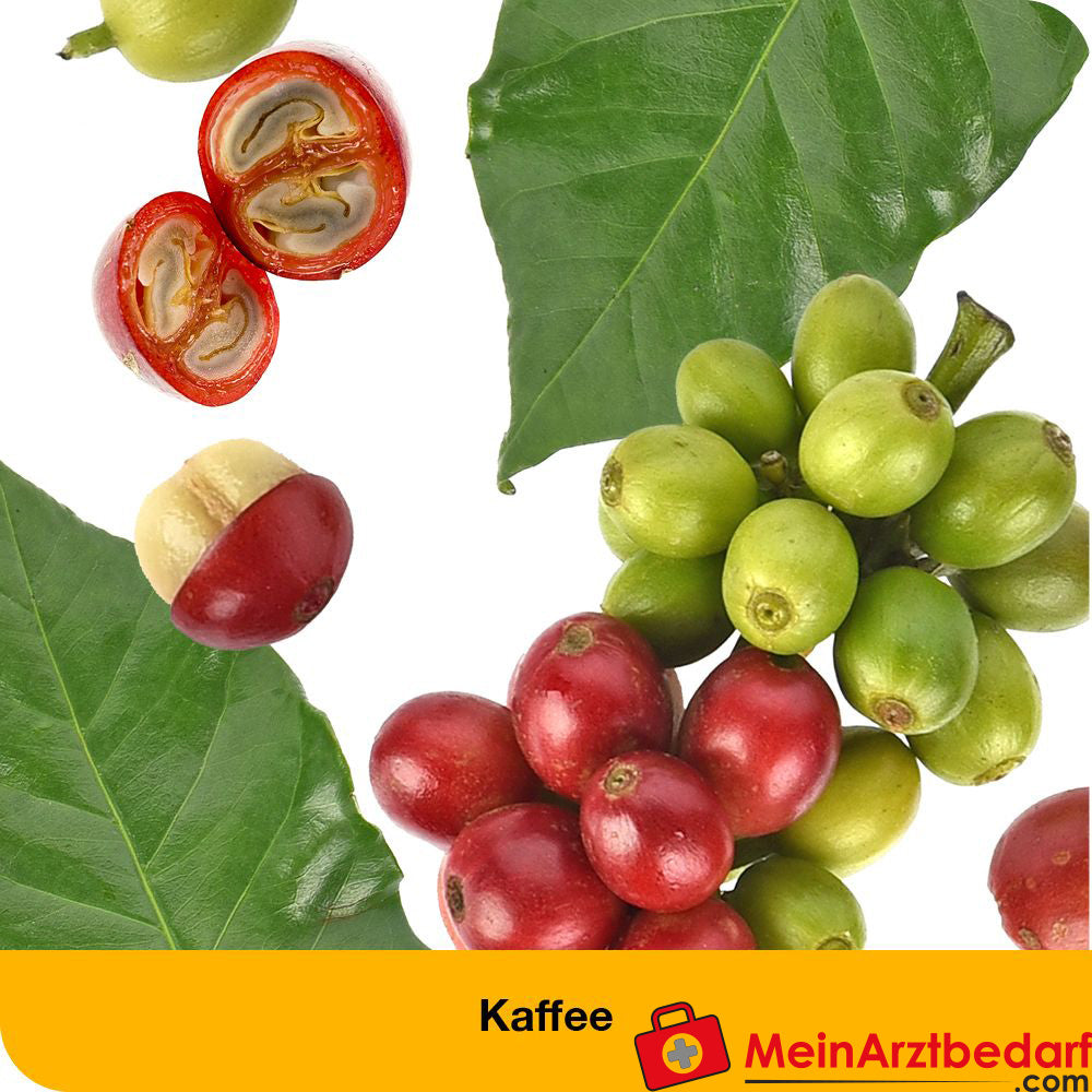 dystoLoges® Tropfen.