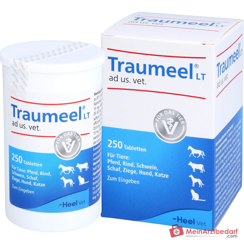 Traumeel LT ad us. vet. Caléndula Árnica Comprimidos 250 unidades para perros y gatos