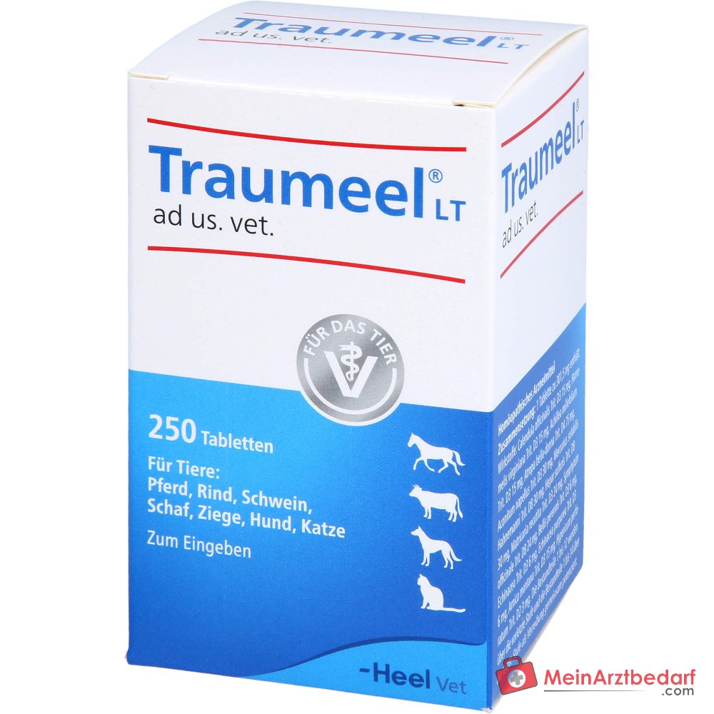 Traumeel LT ad us. vet. Caléndula Árnica Comprimidos 250 unidades para perros y gatos