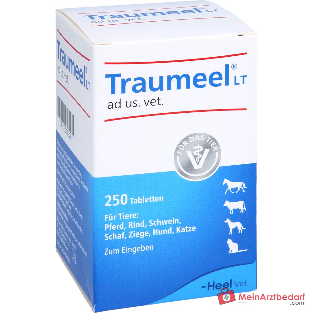 Traumeel LT ad us. vet. Caléndula Árnica Comprimidos 250 unidades para perros y gatos