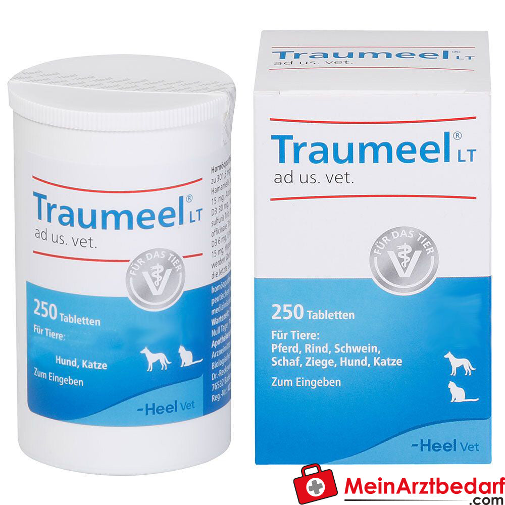 Traumeel lt ad us vet 250 St.