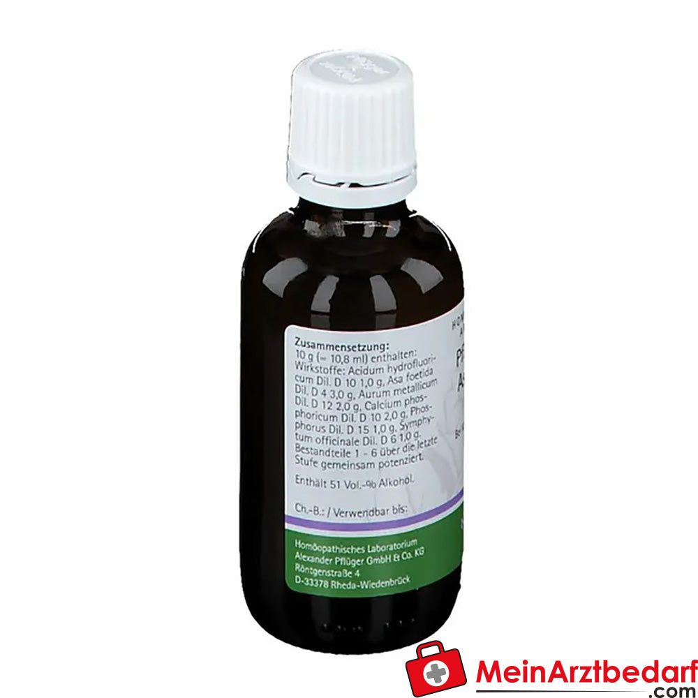 Pflügerplex® Asa foetida 139 H.